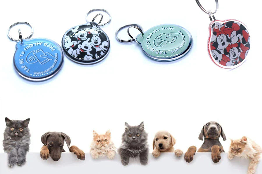 The Best NFC Dog Tags That Make Reuniting Faster Than Ever