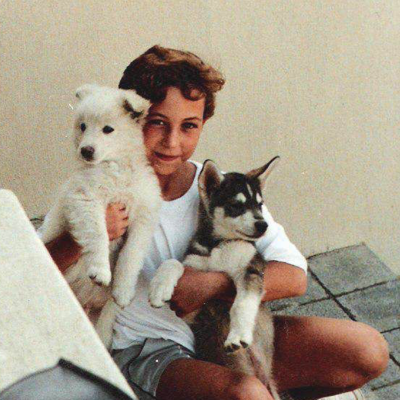 The Legacy of Argus: A Journey to Keep Pets Safe