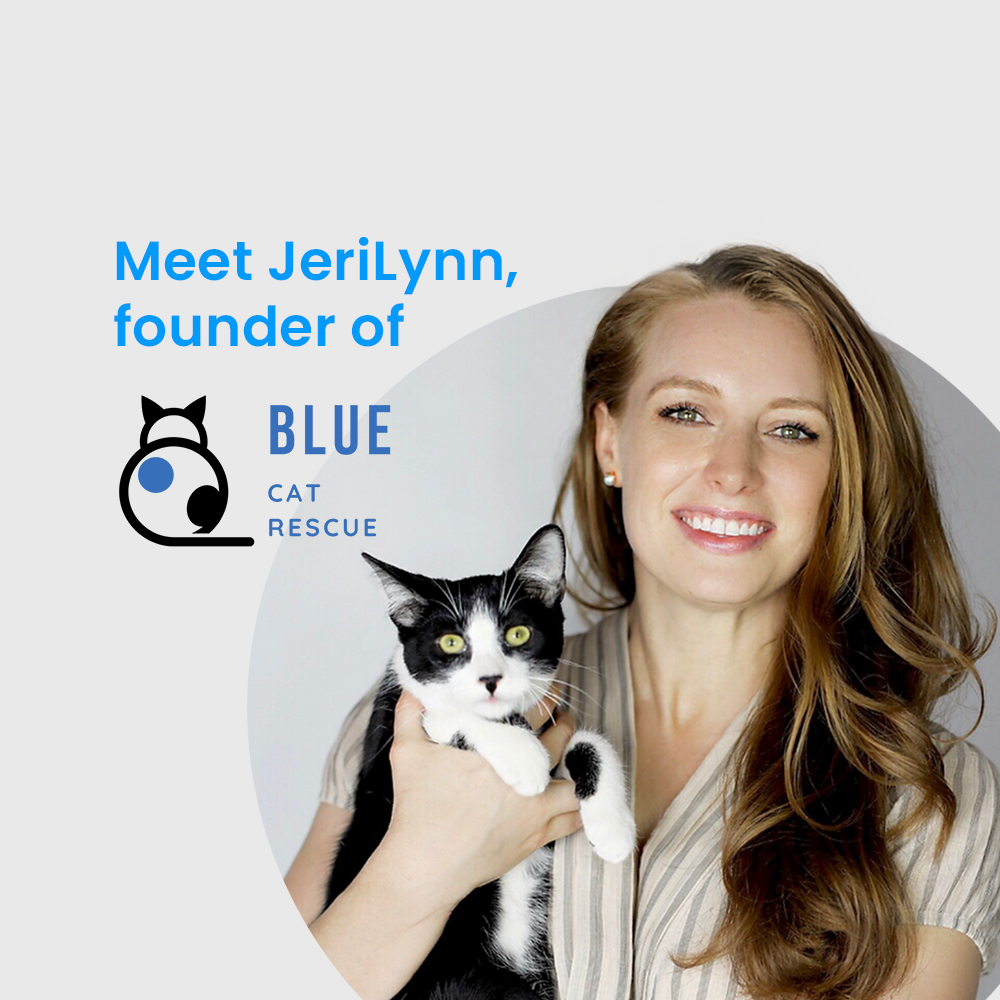 Our First Argus Friend - Blue Cat Rescue