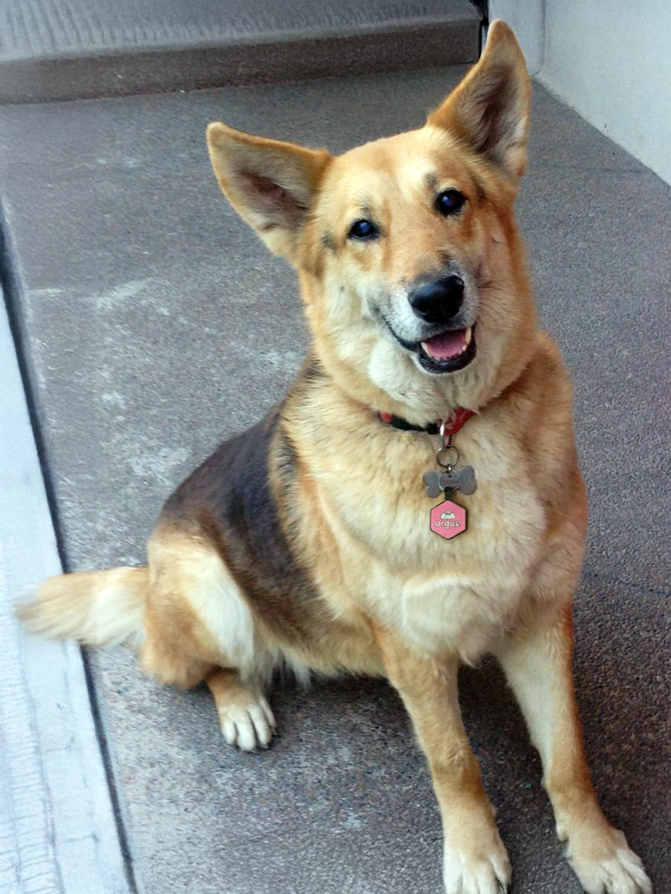 Kiara: A Journey of Love and Legacy