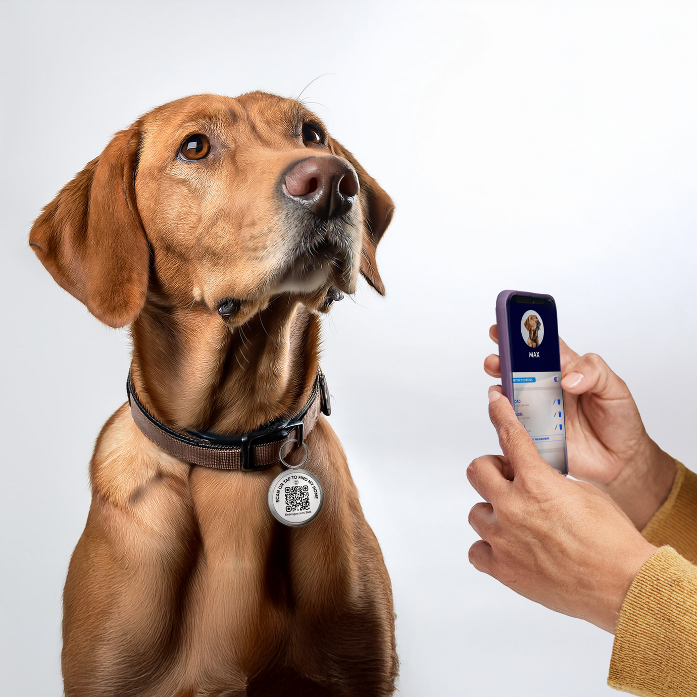 Don’t Use AirTags for Pets: Why Argus Tech Tags Are the Safer and Smarter Option