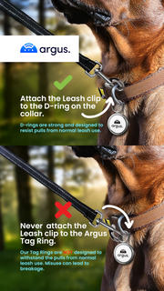 Proper Use of the Keychain Ring on Argus Tags