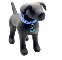 ARGUS Asteris-Q Blue Metal Edge Tech Tag 3