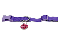 ARGUS Asteris-Q Pink Metal Edge Tech Tag 1