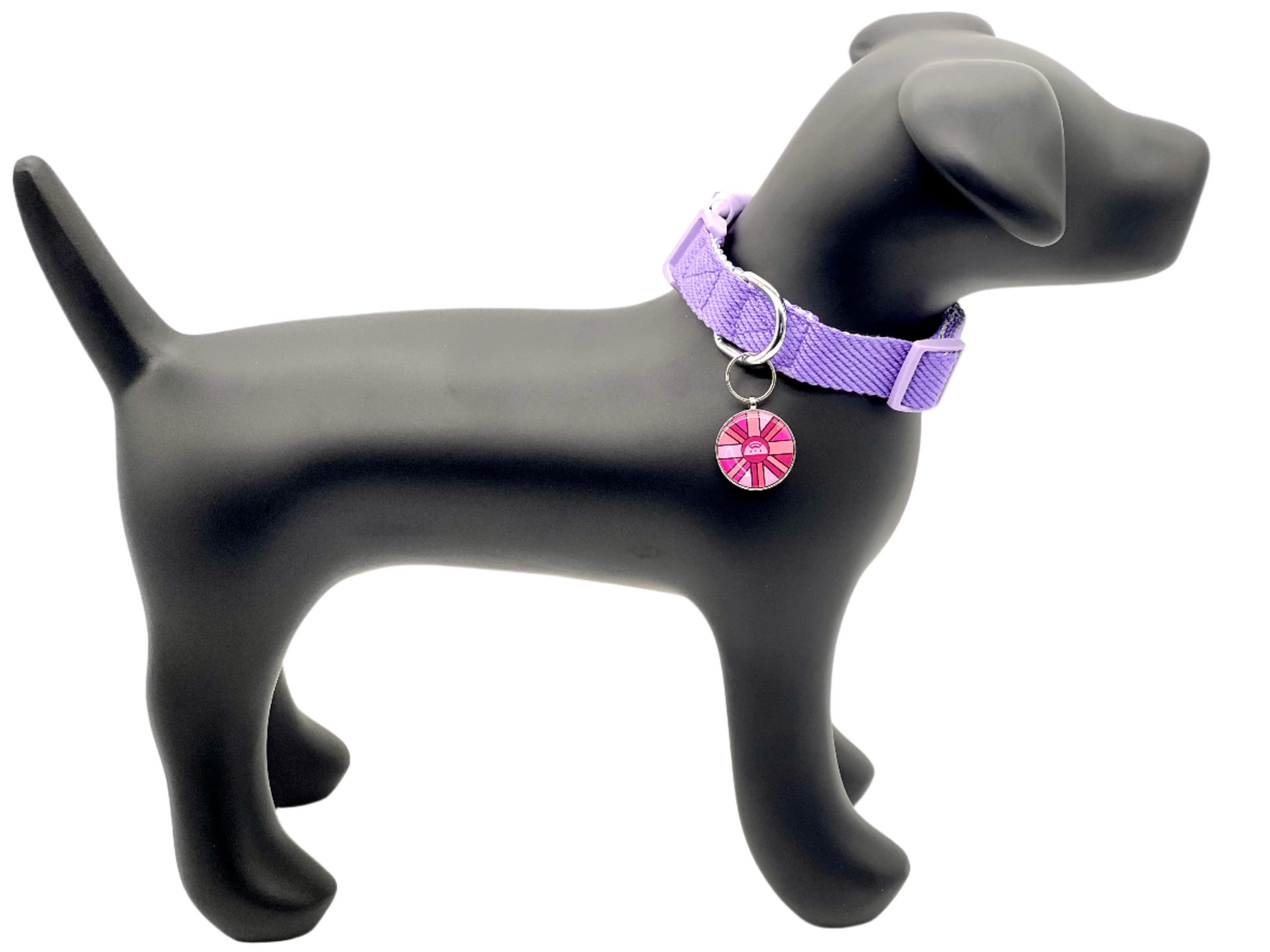 ARGUS Asteris-Q Pink Metal Edge Tech Tag  2