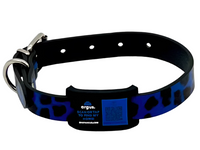 ARGUS Black & Blue Collar-Side Tech Tag 2