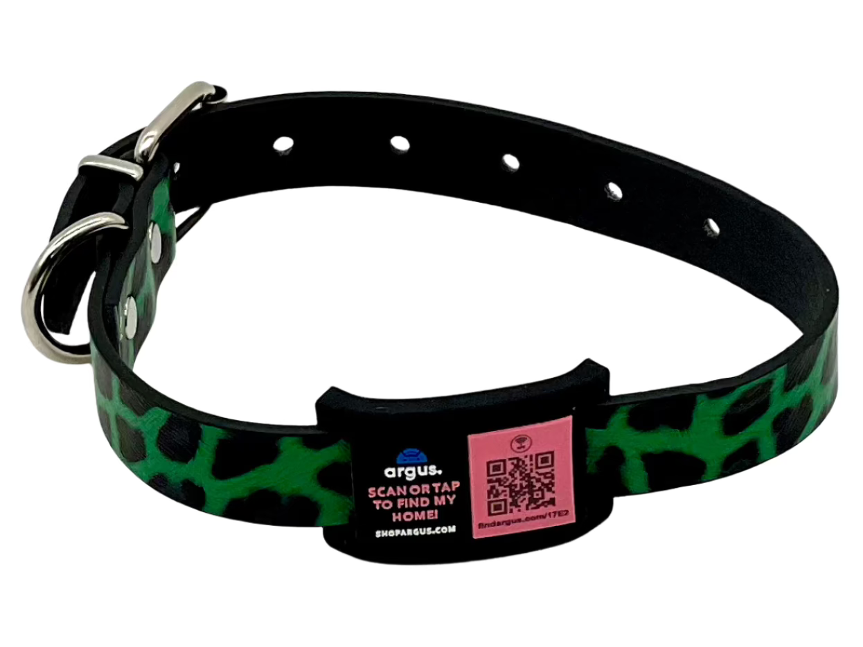 Black & Pink Collar-Side Tech Tag 2