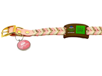 Brown & Green Collar-Side Tech Tag