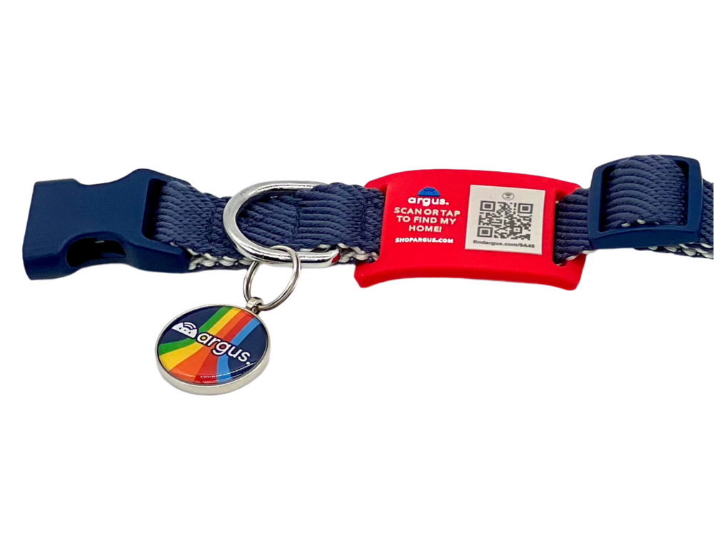 Colorfall Blue Metal Edge Tech Tag