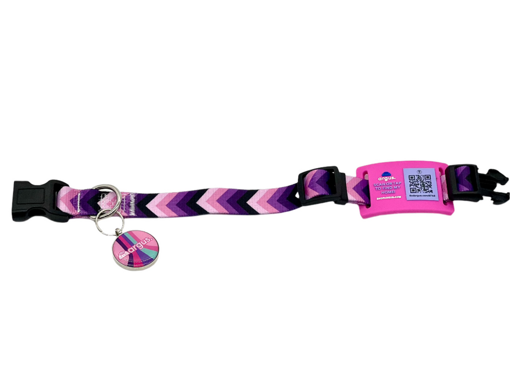 Colorfall Pink Metal Edge Tech Tag
