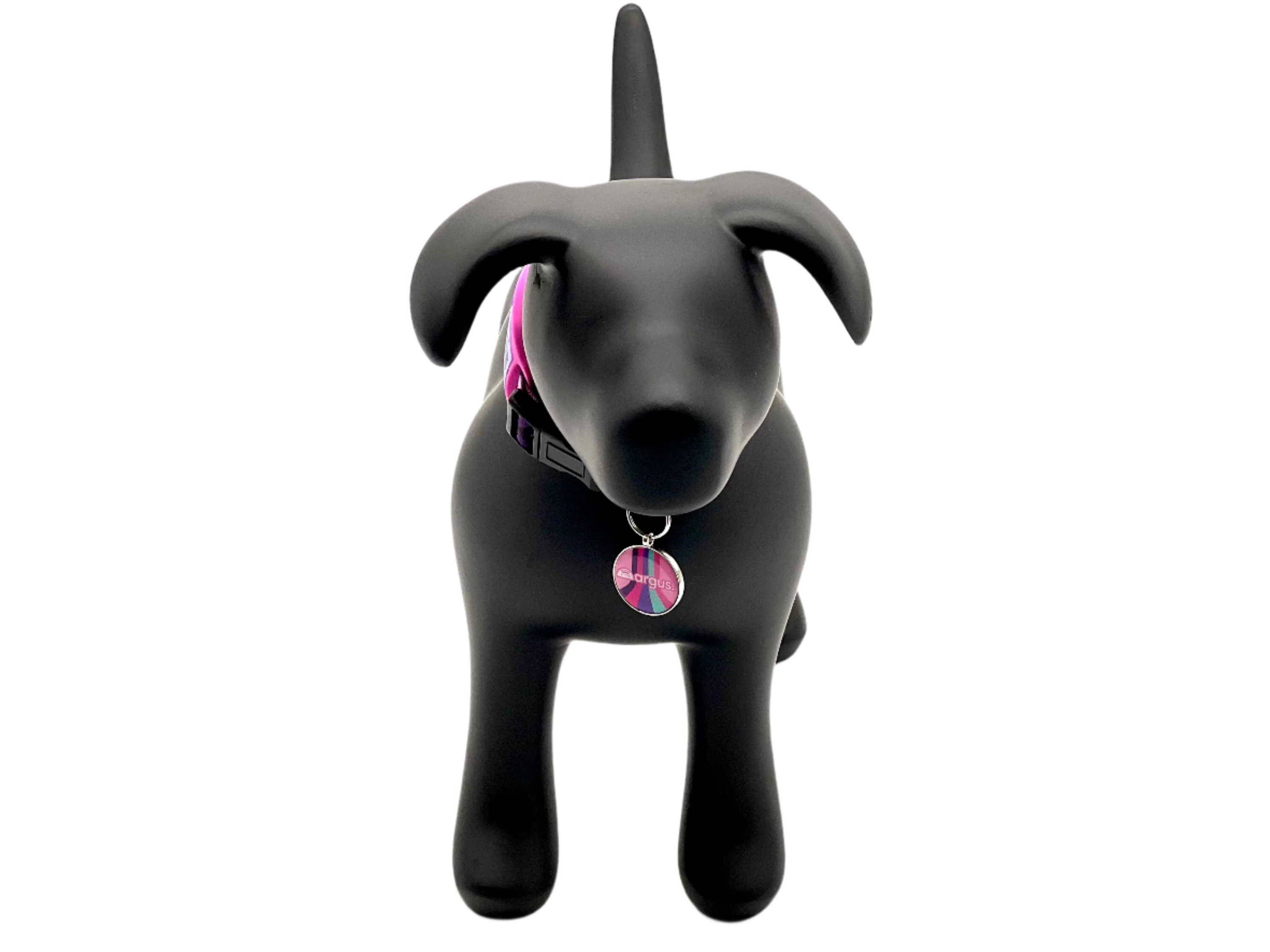 Colorfall Pink Metal Edge Tech Tag 3
