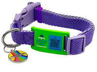 Colorfall Yellow Metal Edge Tech Tag 2