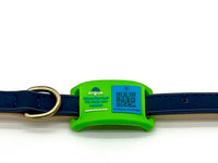 Green & Blue Collar-Side Tech Tag