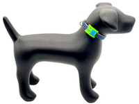 Green & Blue Collar-Side Tech Tag 2