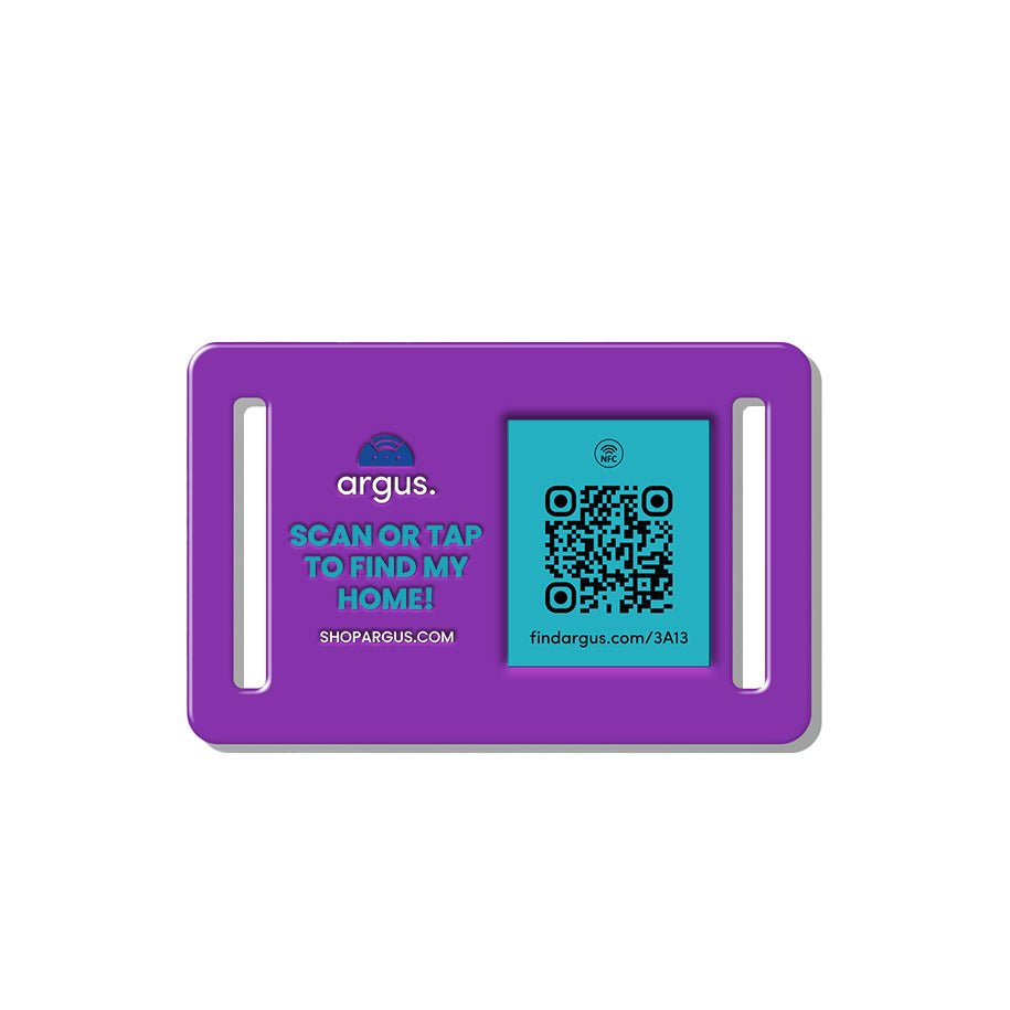 Purple & Teal Collar-Side Tech Tag