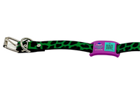 Purple & Teal Collar-Side Tech Tag