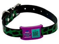 Purple & Teal Collar-Side Tech Tag 1