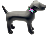 Purple & Teal Collar-Side Tech Tag 4