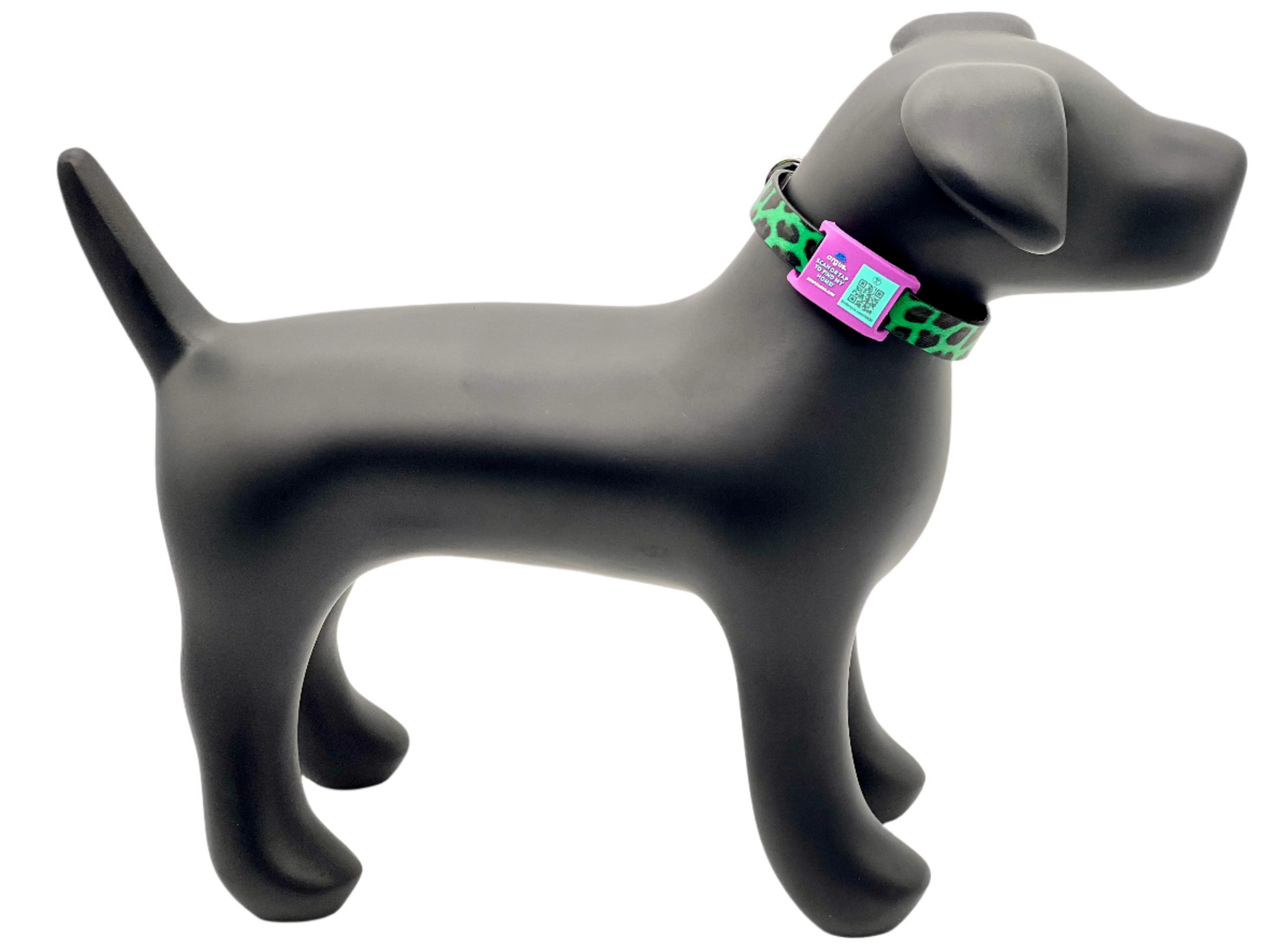 Purple & Teal Collar-Side Tech Tag 4