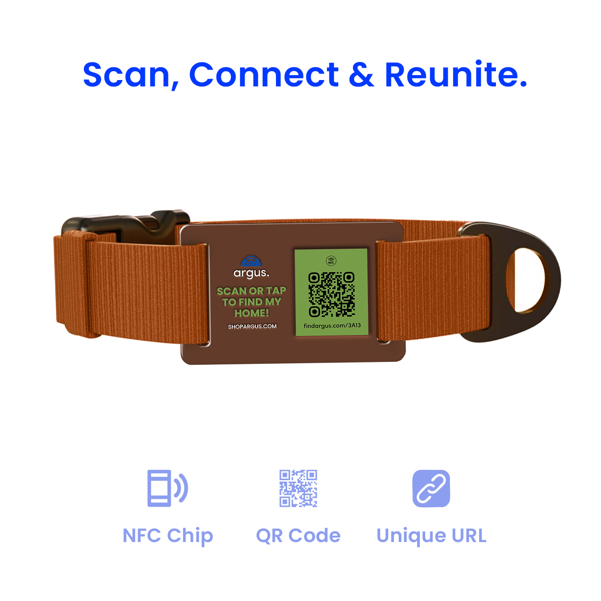 Brown & Green Collar-Side Tech Tag