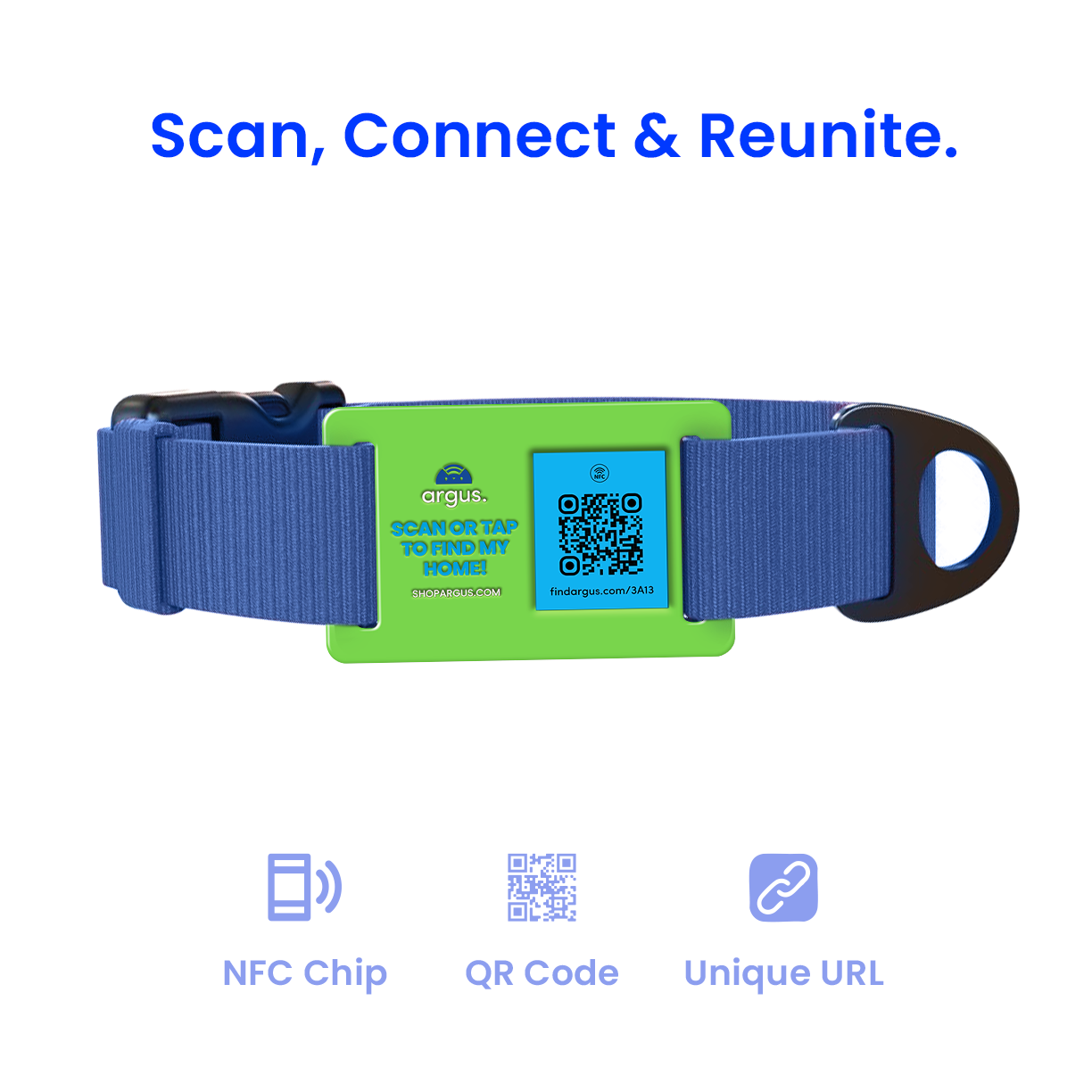 Green & Blue Collar-Side Tech Tag
