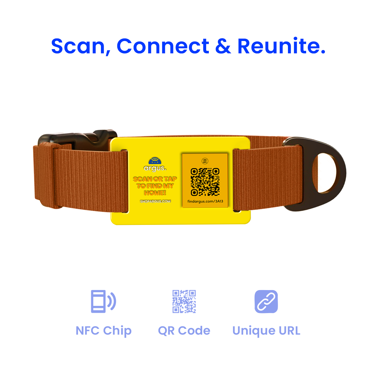 Yellow & Orange Collar-Side Tech Tag