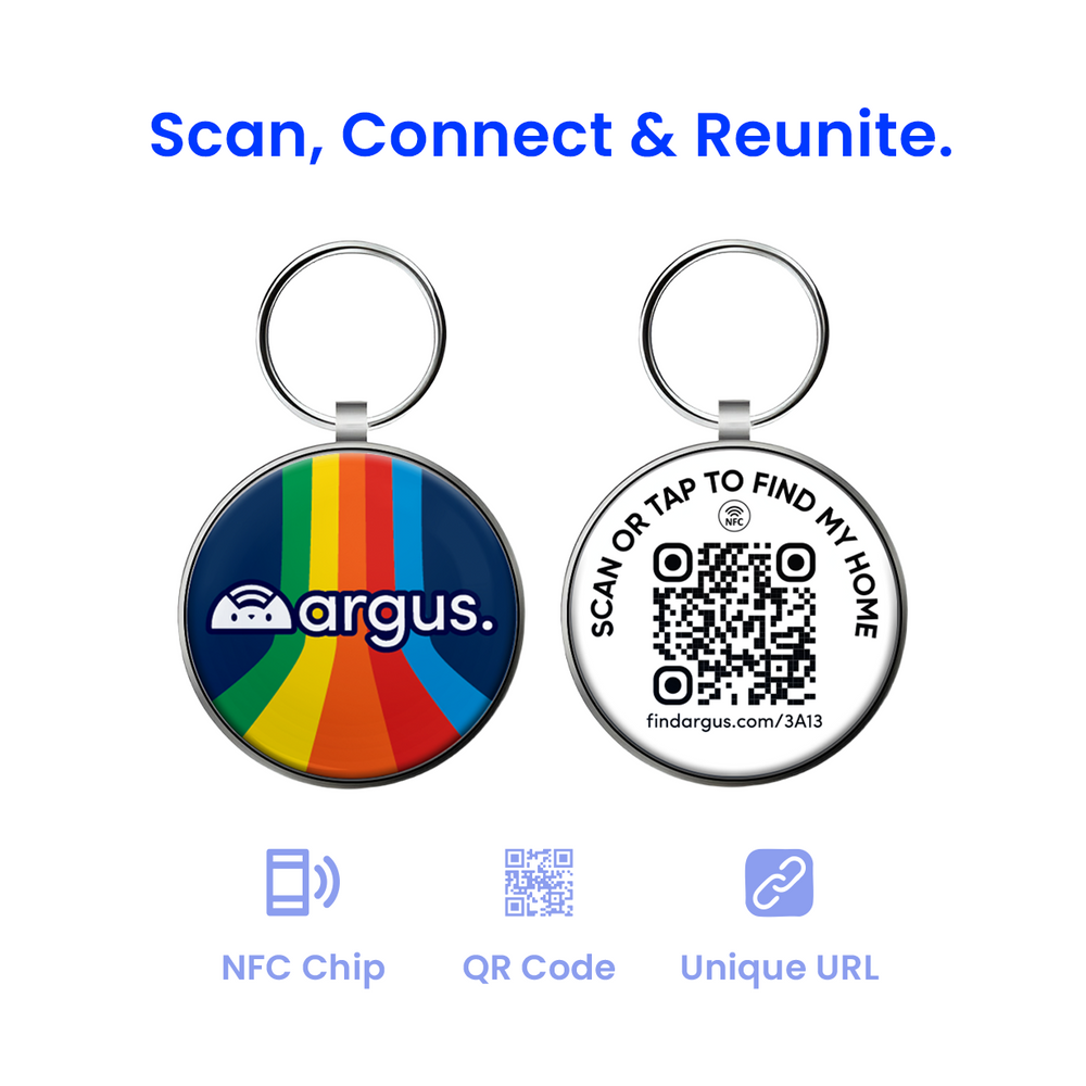 Colorfall Blue Metal Edge Tech Tag